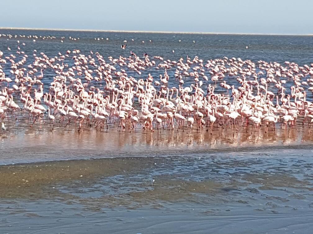 Elilo Bed And Breakfast Walvis Bay Exterior foto